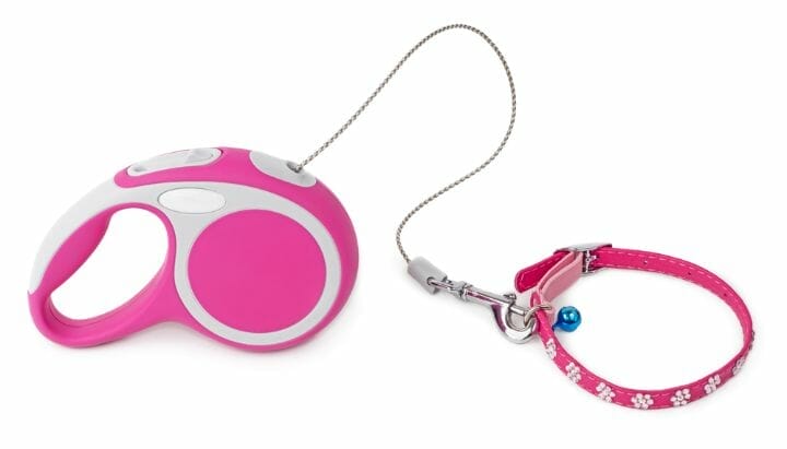 Best Retractable Dog Leash In Canada