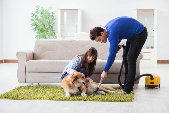 How to Get Pet Hair Out of Your Carpet