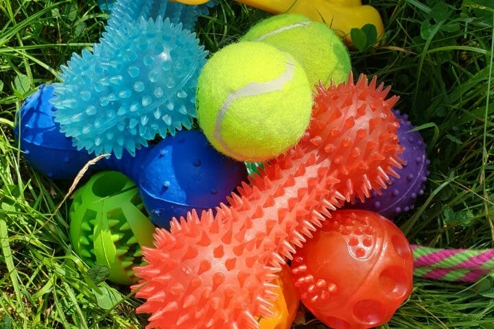 Best Toys For Dogs That Tear Things Apart
