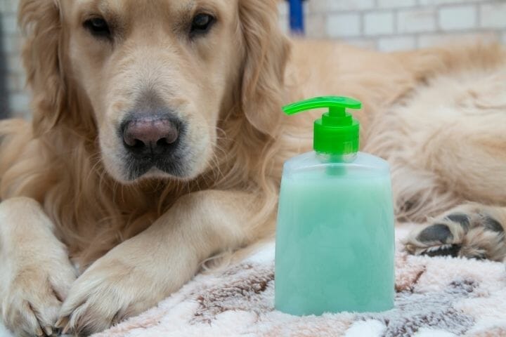 Can You Use Dial Soap On Dogs