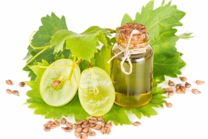Can Dogs Eat Grape Seed Oil